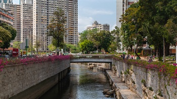 Bridges with glass balustrade were built over Kai Tak River to provide connectivity to either side of the river. The bridges offers visitors the opportunity to get closer to the water and observe the bird and fish life within.